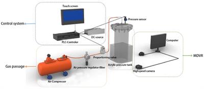 The influence of simulated pressure changes on the behavior of Larimichthys crocea during the deep sea submarine descent of net cages